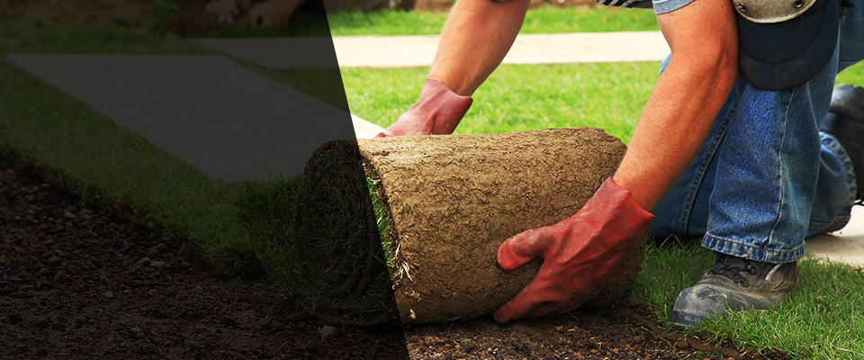 Beech Grove Landscapers